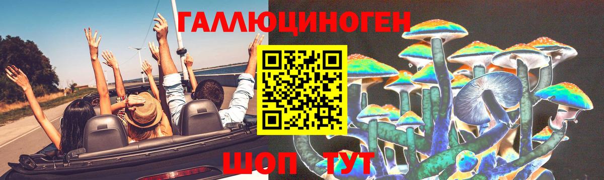Саянск  Псилоцибиновые грибы Magic Shrooms  Вход с VPN 